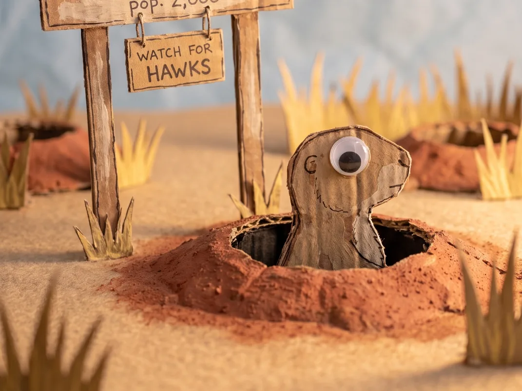 Prairie Dogs